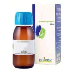 BOIRON Srl ABIES PECTINATA 60ML MG