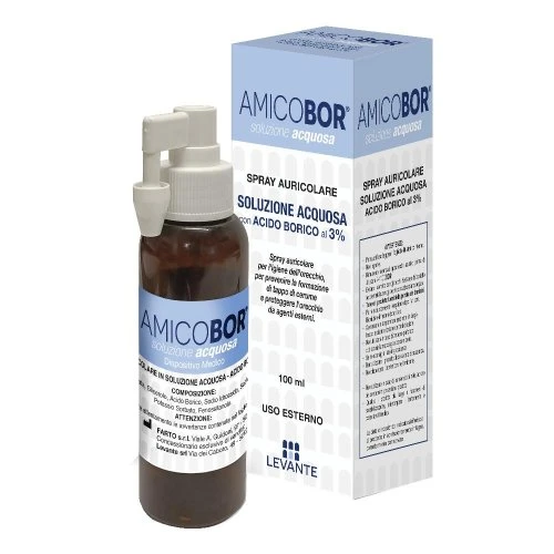 AMICOBOR SOL ACQUOSA 100ML 1 AMICOBOR SOL ACQUOSA 100ML